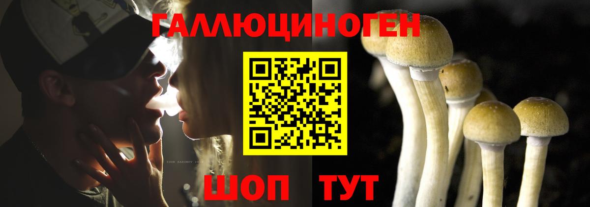 Галлюциногенные грибы MAGIC MUSHROOMS  Псилоцибиновые грибы Cubensis  Людиново  Вход с VPN 